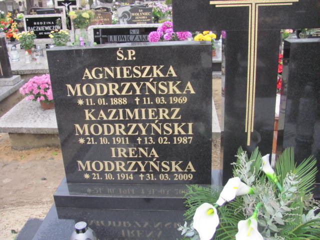 Tadeusz Modrzyński 1952 Krotoszyn - Grobonet - Wyszukiwarka osób pochowanych