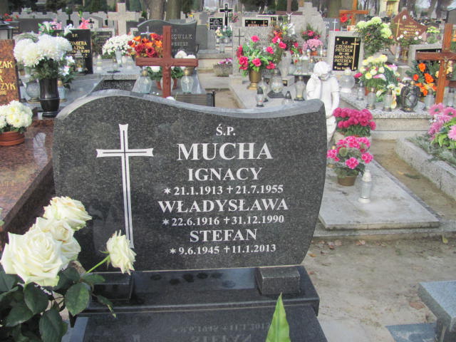 Stefan Mucha 1945 Krotoszyn - Grobonet - Wyszukiwarka osób pochowanych