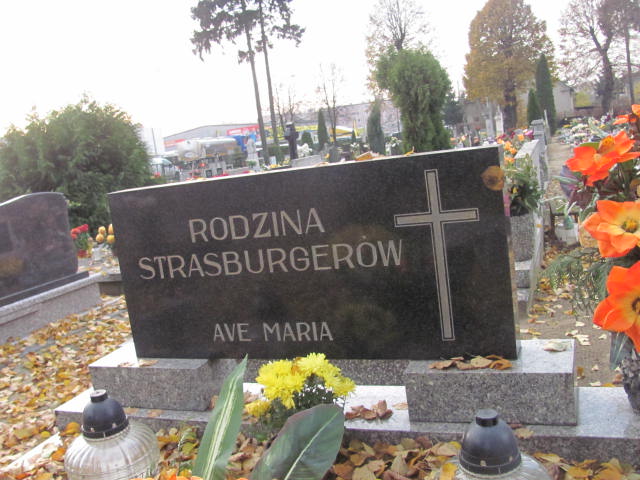 Teodor Strasburger Krotoszyn - Grobonet - Wyszukiwarka osób pochowanych