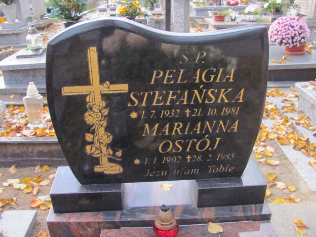 Pelagia Stefańska 1932 Krotoszyn - Grobonet - Wyszukiwarka osób pochowanych