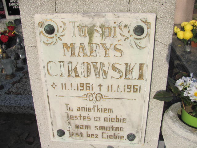 Marian Cikowski 1961 Krotoszyn - Grobonet - Wyszukiwarka osób pochowanych