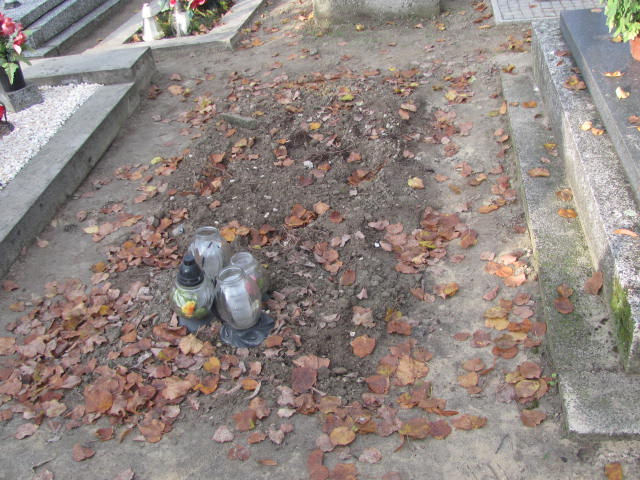 Robert Wojciechowski 1976 Krotoszyn - Grobonet - Wyszukiwarka osób pochowanych