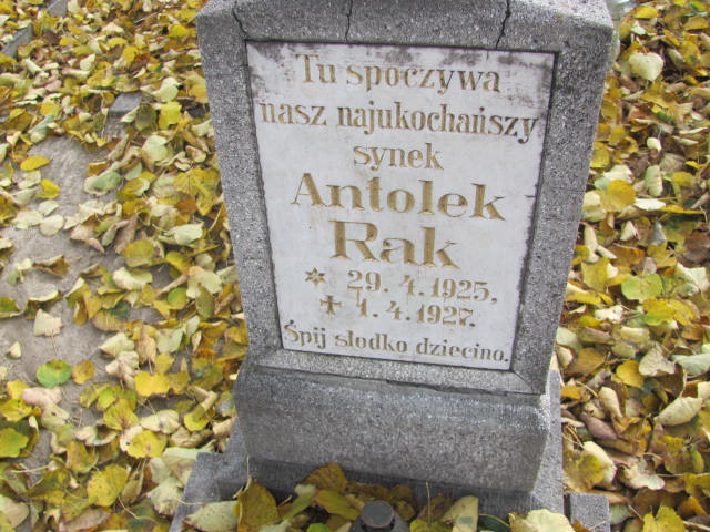 Antoni Rak 1925 Krotoszyn - Grobonet - Wyszukiwarka osób pochowanych