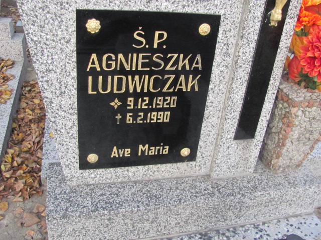 Agnieszka Ludwiczak 1920 Krotoszyn - Grobonet - Wyszukiwarka osób pochowanych