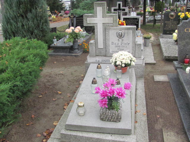 Grób Aniela Bicz
