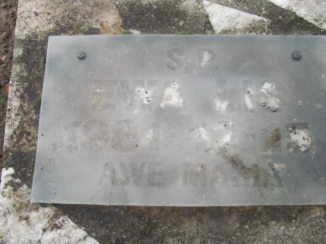 Ewa Lis 1981 Krotoszyn - Grobonet - Wyszukiwarka osób pochowanych