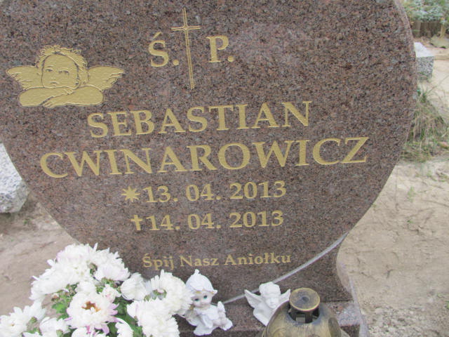Sebastian Cwinarowicz 2013 Krotoszyn - Grobonet - Wyszukiwarka osób pochowanych