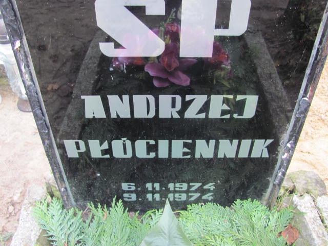 Andrzej Płóciennik 1974 Krotoszyn - Grobonet - Wyszukiwarka osób pochowanych