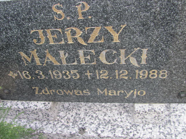 Krystyna Małecka Wiertlewska 1940 Krotoszyn - Grobonet - Wyszukiwarka osób pochowanych