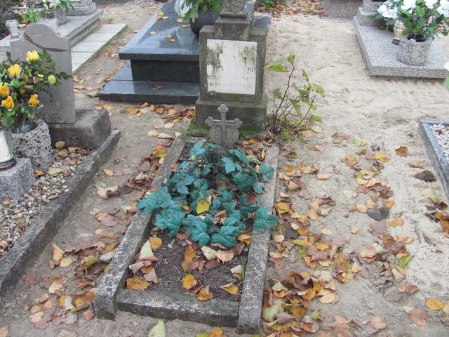 Grób Regina Sokołowska