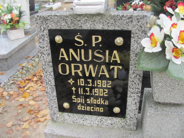 Anna Orwat 1982 Krotoszyn - Grobonet - Wyszukiwarka osób pochowanych