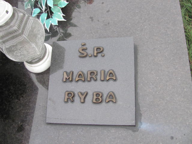 Zbigniew Wach 1920 Krotoszyn - Grobonet - Wyszukiwarka osób pochowanych