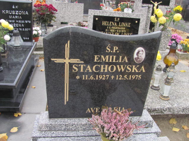 Sylwester Stachowski 1932 Krotoszyn - Grobonet - Wyszukiwarka osób pochowanych