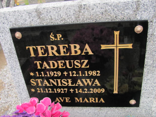 Tadeusz Tereba 1929 Krotoszyn - Grobonet - Wyszukiwarka osób pochowanych