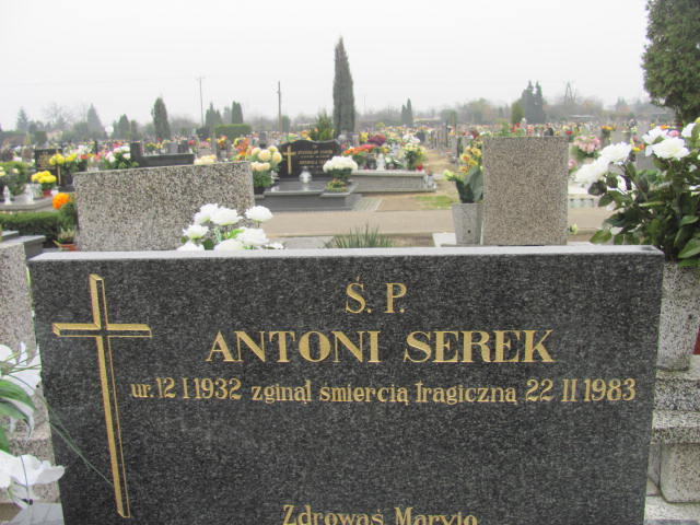 Helena Serek 1941 Krotoszyn - Grobonet - Wyszukiwarka osób pochowanych