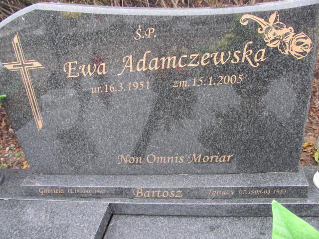 Dawid Adamczewski 1983 Krotoszyn - Grobonet - Wyszukiwarka osób pochowanych